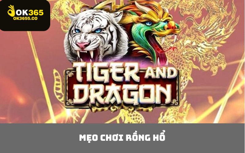 Mẹo chơi Rồng Hổ
