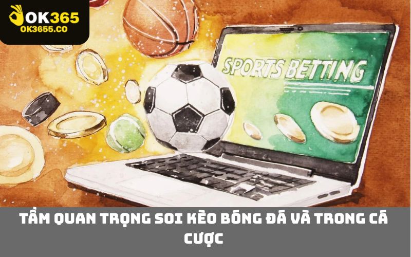 Tầm Quan Trọng Soi Kèo Bóng Đá Và Trong Cá Cược