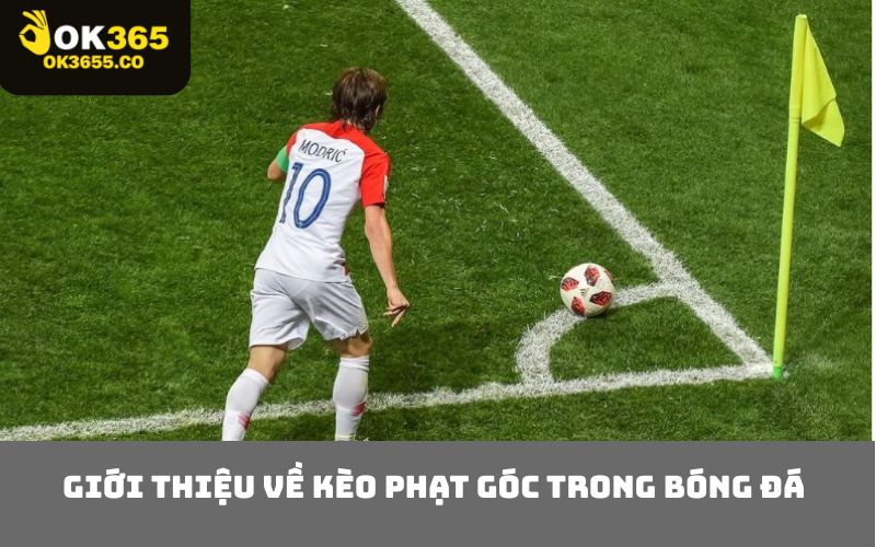 Giới Thiệu Về Kèo Phạt Góc Trong Bóng Đá