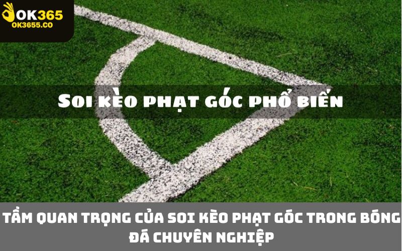 Tầm quan trọng của soi kèo phạt góc trong bóng đá chuyên nghiệp