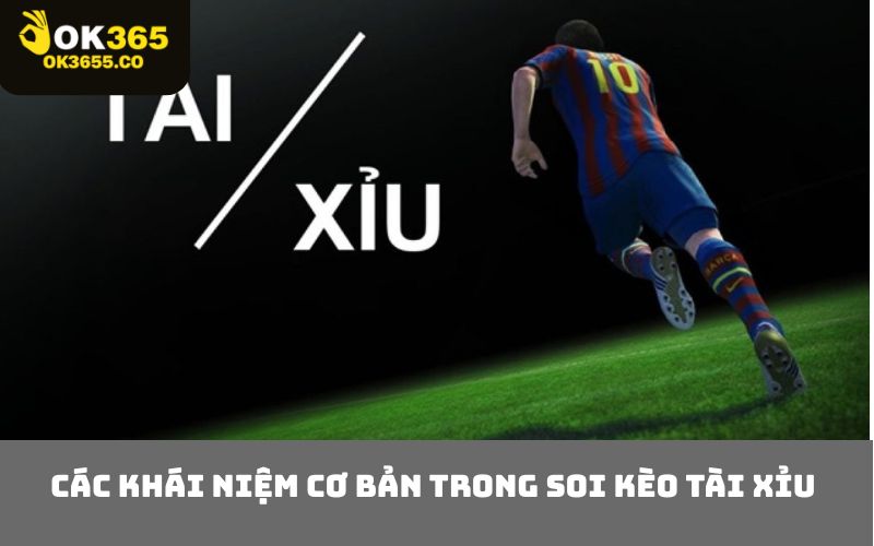 Các Khái Niệm Cơ Bản Trong Soi Kèo Tài Xỉu