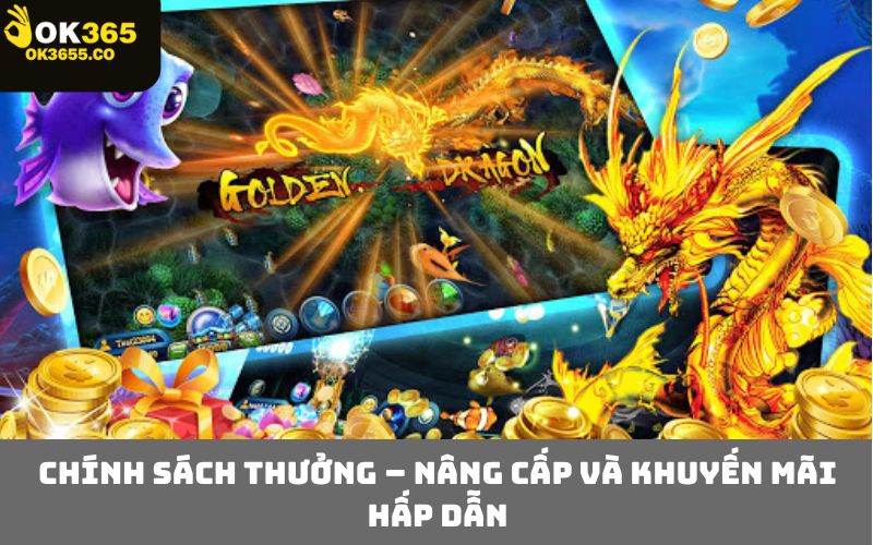 Chính sách thưởng – nâng cấp và khuyến mãi hấp dẫn