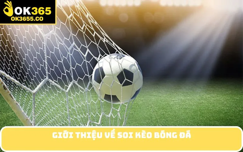 Giới Thiệu về Soi Kèo Bóng Đá