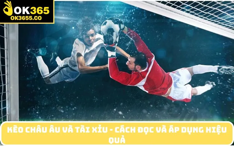 Kèo Châu Âu Và Tài Xỉu - Cách Đọc Và Áp Dụng Hiệu Quả