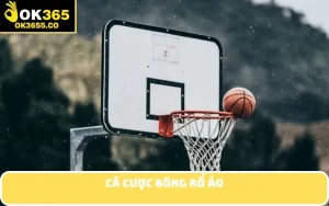 Cá cược bóng rổ ảo