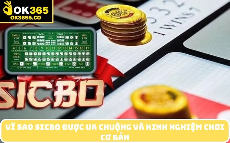 Vì sao Sicbo được ưa chuộng và kinh nghiệm chơi cơ bản