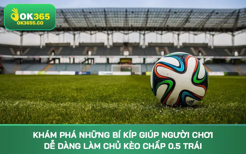 Khám phá những bí kíp giúp người chơi dễ dàng làm chủ kèo chấp 0.5 trái