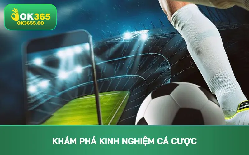 Khám phá kinh nghiệm cá cược