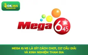 Mega 6/45