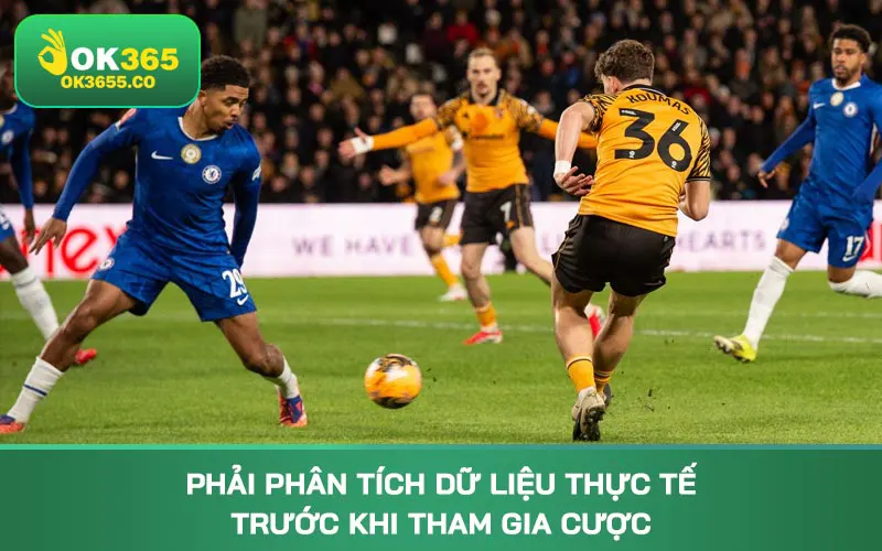 Phải phân tích dữ liệu thực tế trước khi tham gia cược