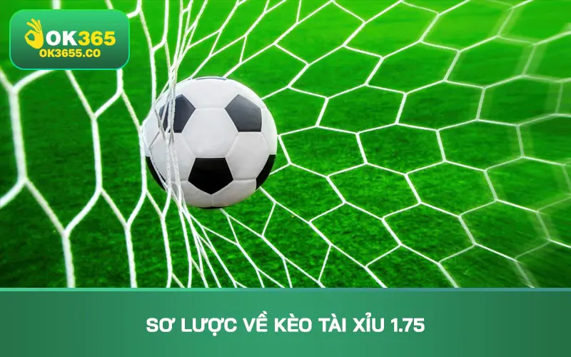 Sơ lược về kèo tài xỉu 1.75
