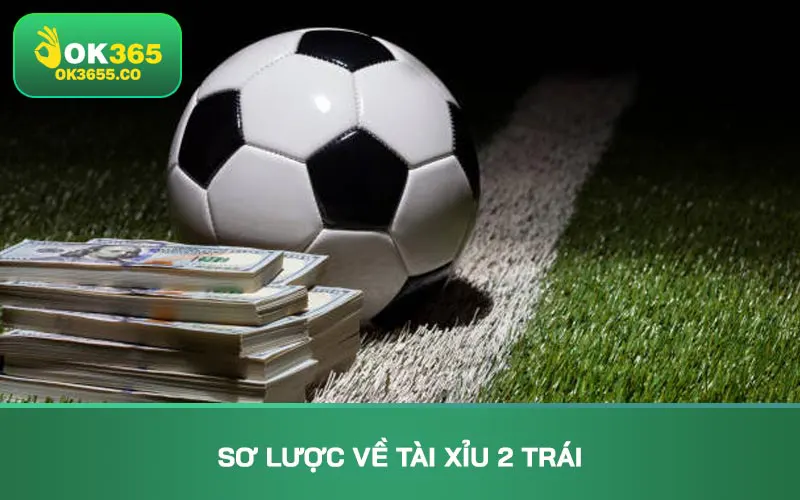 Sơ lược về tài xỉu 2 trái