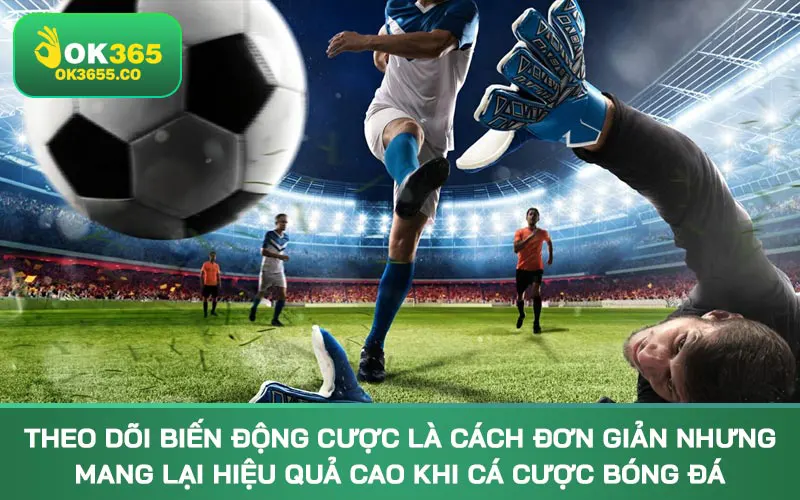 Theo dõi biến động cược là cách đơn giản nhưng mang lại hiệu quả cao khi cá cược bóng đá