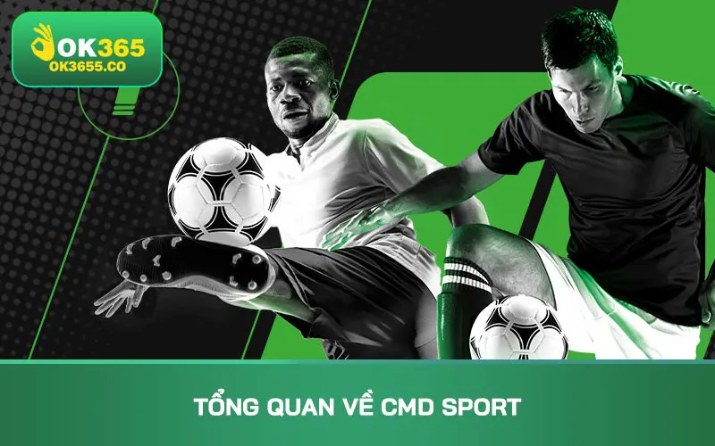 Tổng quan về CMD Sport