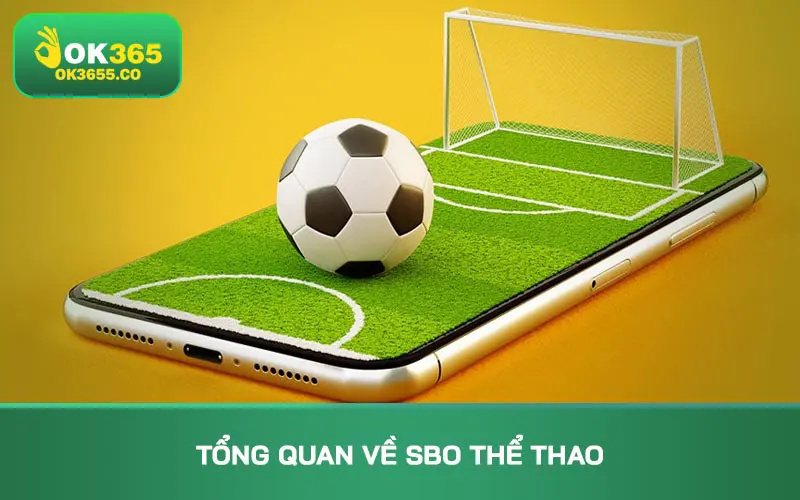 Tổng quan về SBO Thể thao