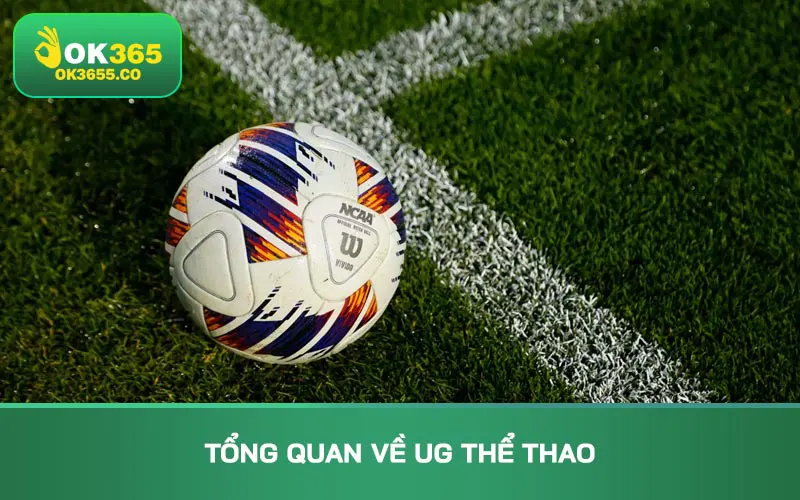 Tổng quan về UG Thể thao