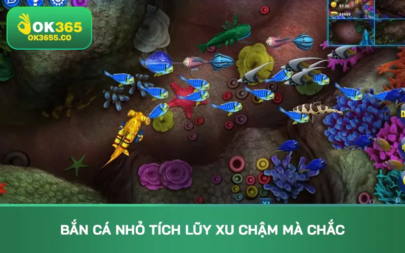 Bắn cá nhỏ tích lũy xu chậm mà chắc