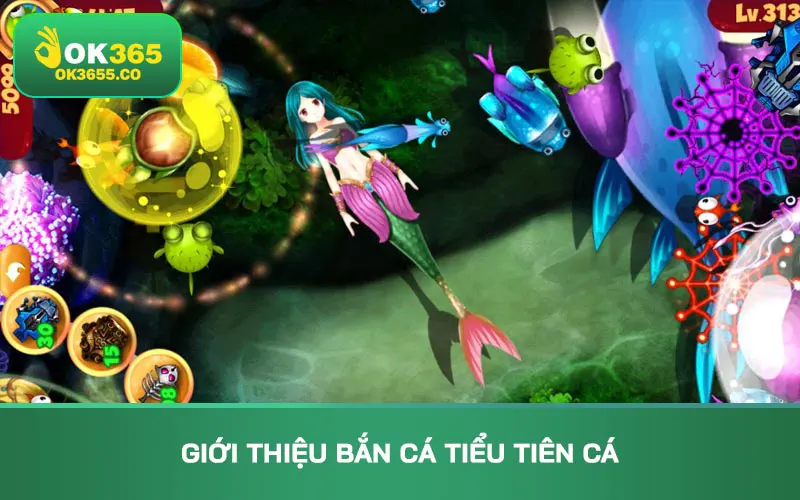 Giới thiệu Bắn cá Tiểu Tiên cá