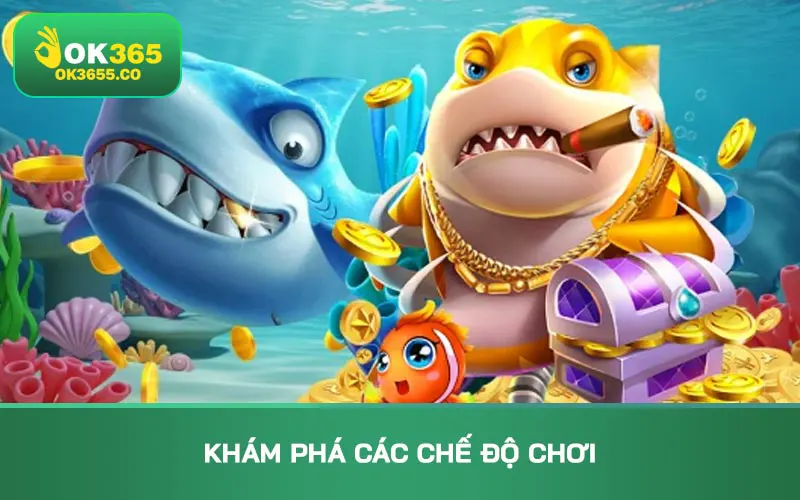 Khám phá các chế độ chơi