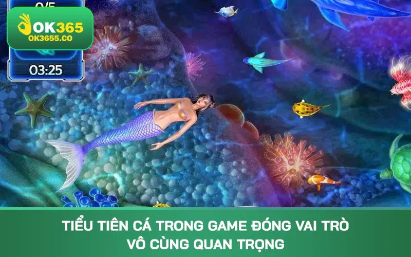 Tiểu Tiên Cá trong game đóng vai trò vô cùng quan trọng